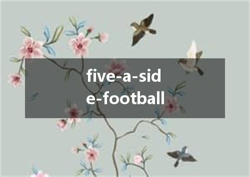 five-a-side-football是什么意思
