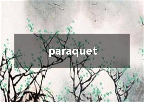 paraquet是什么意思