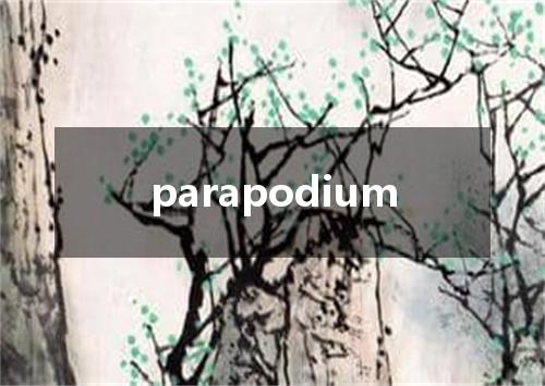 parapodium是什么意思