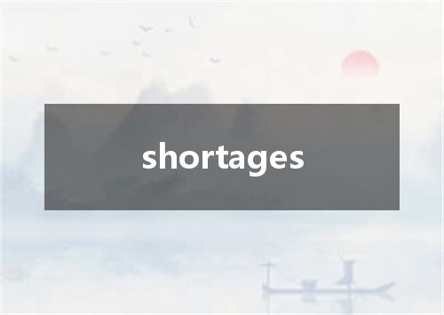 shortages是什么意思