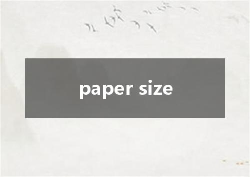 paper size是什么意思