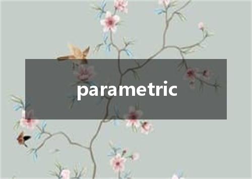 parametric是什么意思