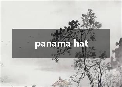 panama hat是什么意思