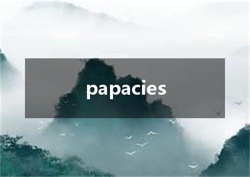 papacies是什么意思