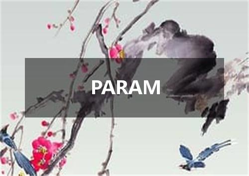 PARAM是什么意思