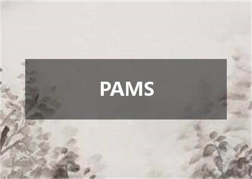 PAMS是什么意思