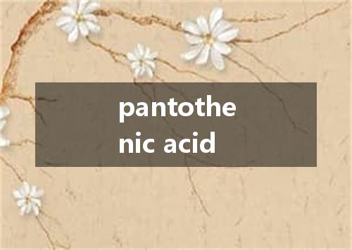 pantothenic acid是什么意思