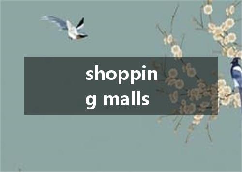 shopping malls是什么意思