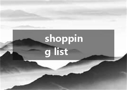shopping list是什么意思
