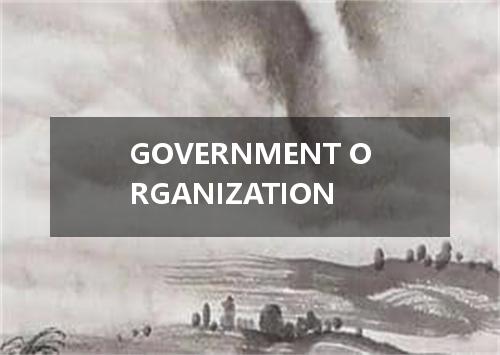 GOVERNMENT ORGANIZATION是什么意思