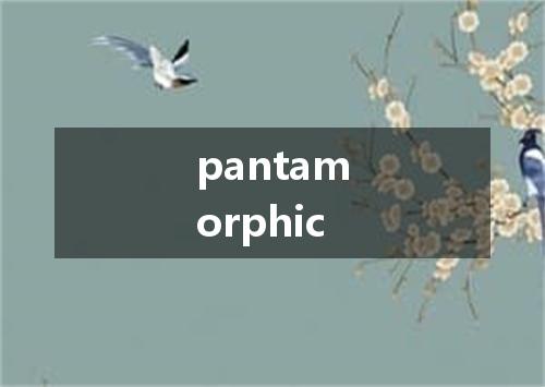 pantamorphic是什么意思