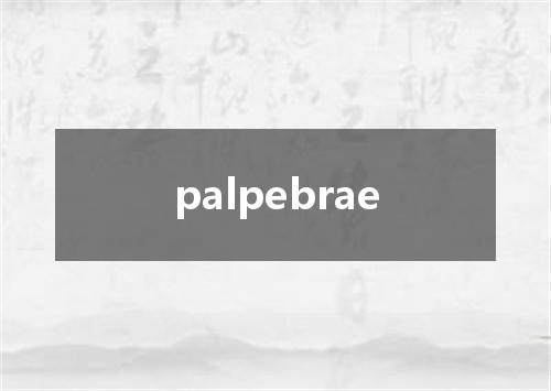 palpebrae是什么意思