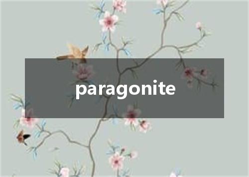 paragonite是什么意思