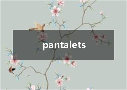 pantalets是什么意思