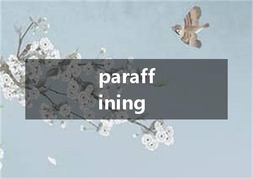 paraffining是什么意思