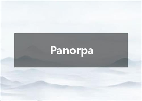Panorpa是什么意思