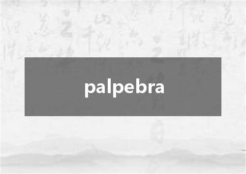 palpebra是什么意思