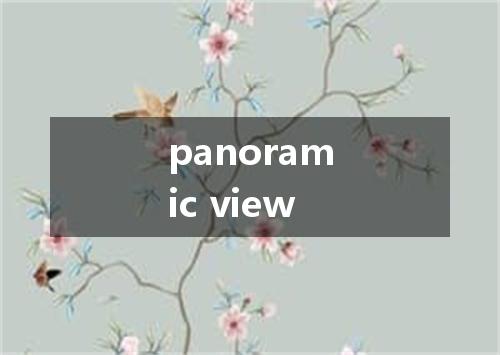 panoramic view是什么意思