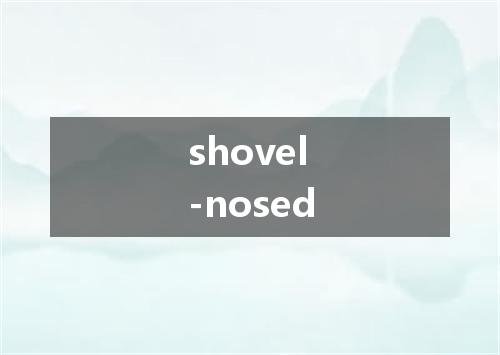 shovel-nosed是什么意思