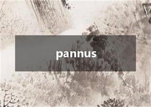 pannus是什么意思