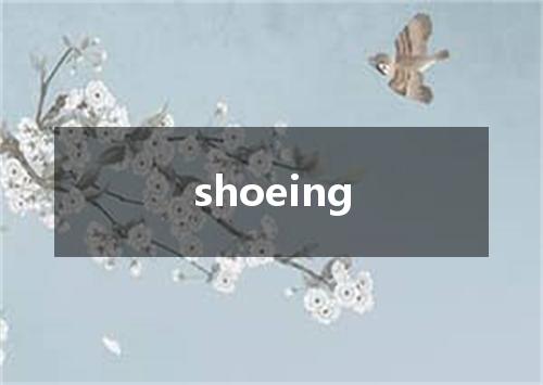 shoeing是什么意思