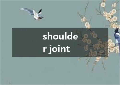 shoulder joint是什么意思