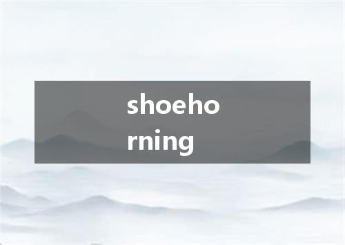 shoehorning是什么意思