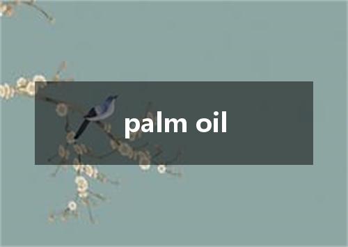 palm oil是什么意思