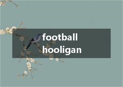 football hooligan是什么意思