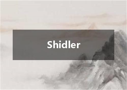 Shidler是什么意思