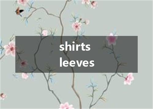 shirtsleeves是什么意思