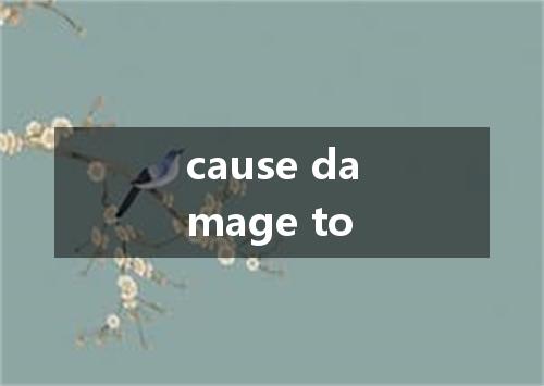 cause damage to是什么意思