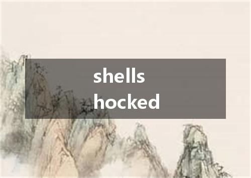 shellshocked是什么意思