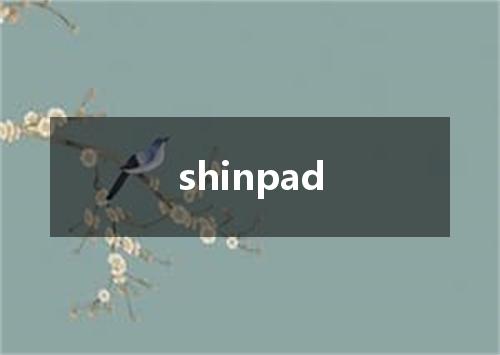 shinpad是什么意思