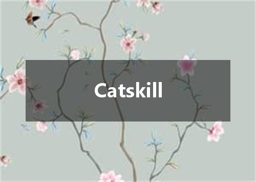 Catskill是什么意思