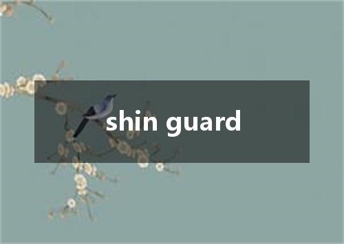 shin guard是什么意思