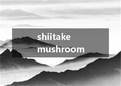shiitake mushroom是什么意思