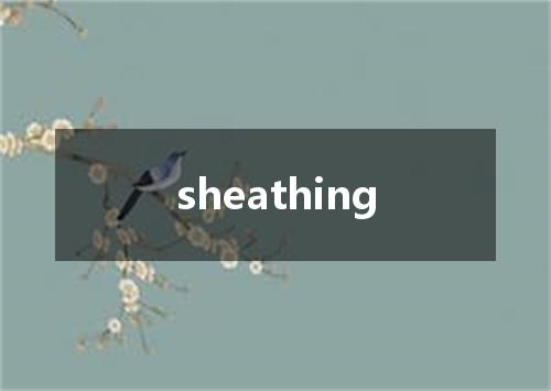 sheathing是什么意思