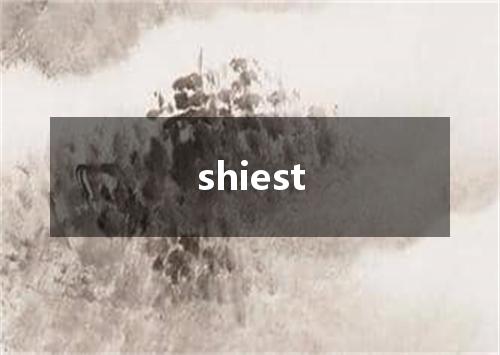 shiest是什么意思