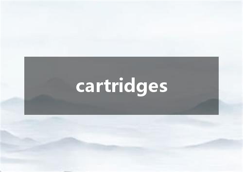 cartridges是什么意思