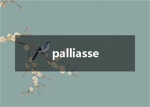 palliasse是什么意思
