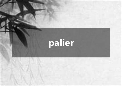 palier是什么意思