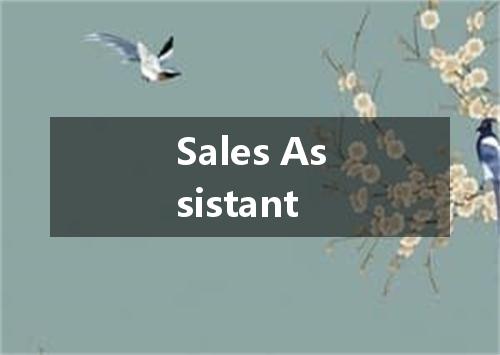 Sales Assistant是什么意思