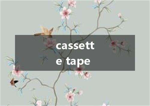 cassette tape是什么意思