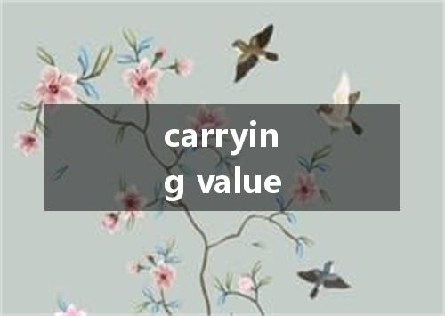 carrying value是什么意思