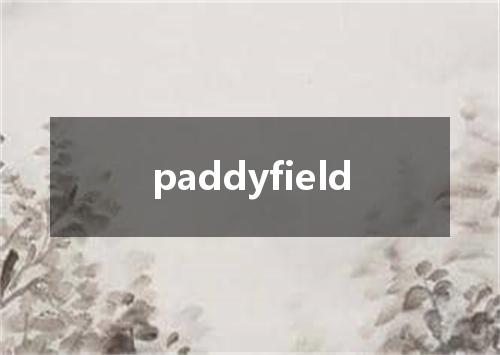 paddyfield是什么意思
