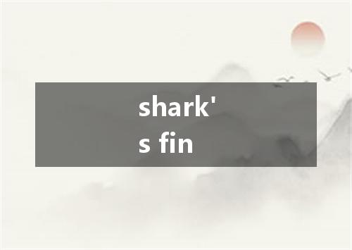shark's fin是什么意思