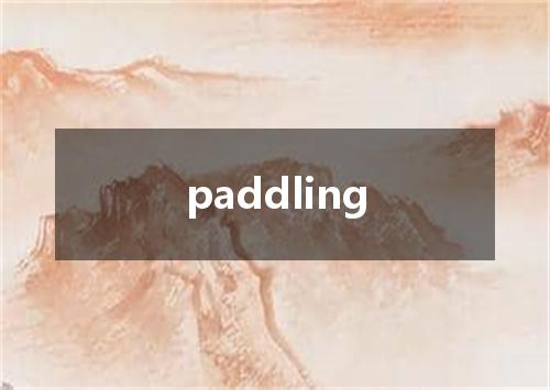 paddling是什么意思