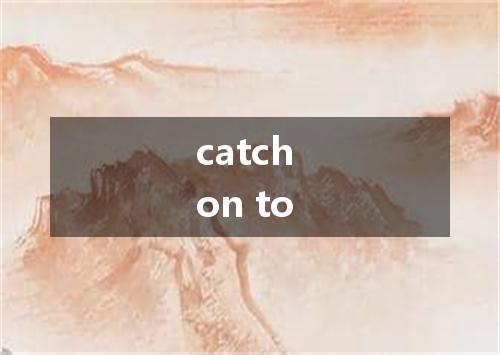 catch on to是什么意思