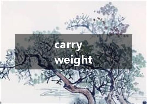 carry weight是什么意思